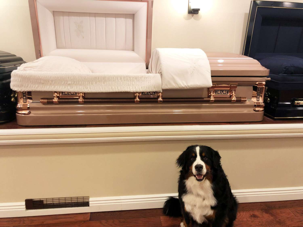 Dog Barks at Coffin during Funeral, Suspicious Son Opens It and Finds